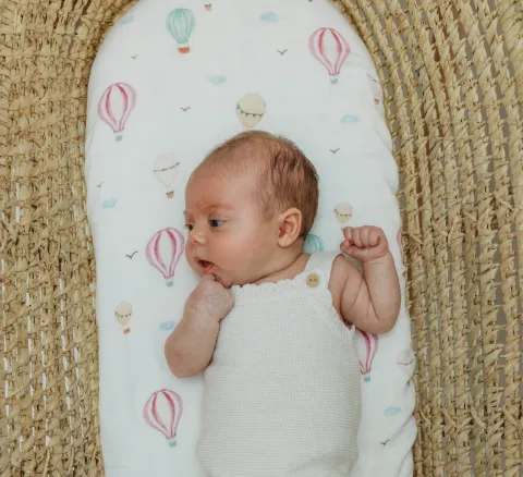Fitted Bassinet Sheet - Hot Air Balloon – photo 4