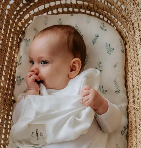 Fitted Bassinet Sheet- Botanical – photo 3