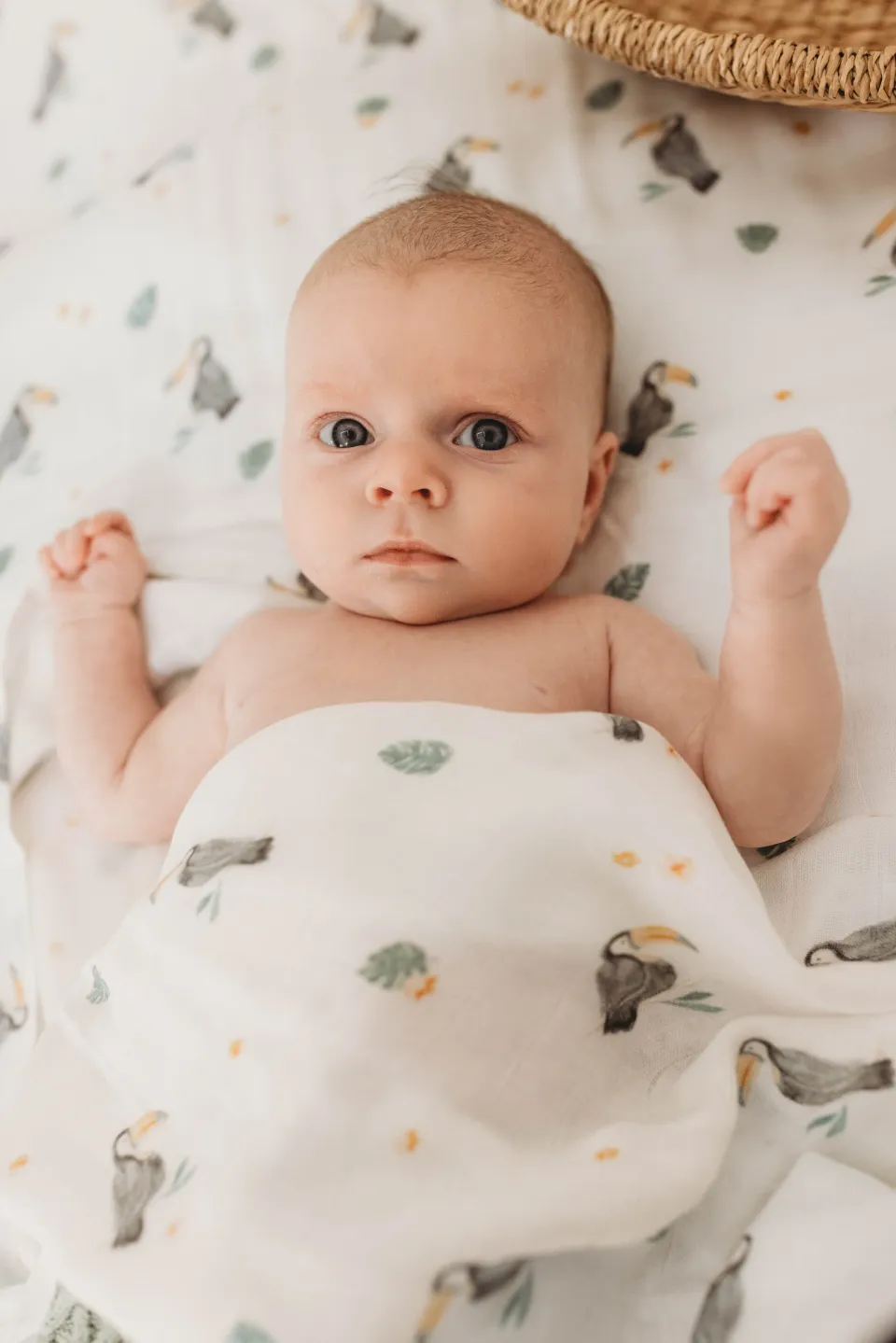 Fitted Bassinet Sheet - Toucan