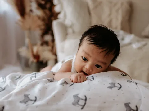 100% Bamboo Swaddle - Rocking Zebra – photo 4
