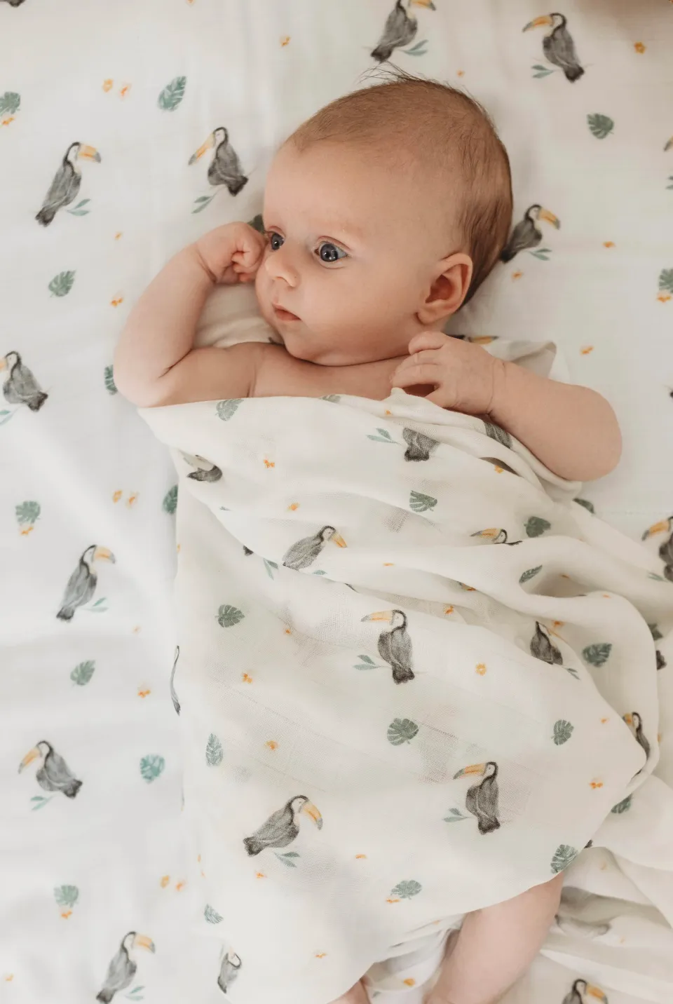 Fitted Cot Sheet - Toucan