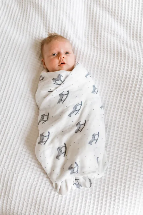 100% Bamboo Swaddle - Rocking Zebra – photo 6